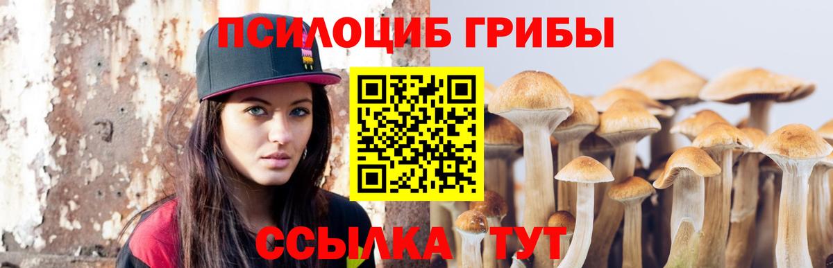 Шахты  Галлюциногенные грибы прущие грибы  Вход с VPN 